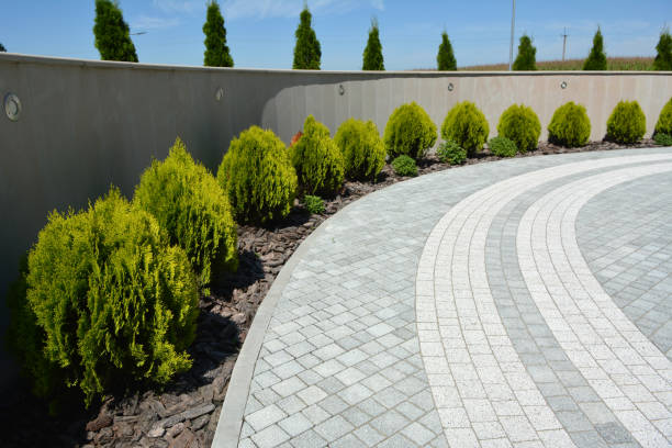 Best Affordable Driveway Paving  in Taylor, TX