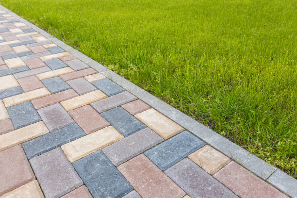 Best Residential Paver Driveway  in Taylor, TX